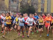 20160214_elmaazi-pagliassotto_ivrea