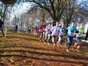 Foto Massimo Turcato